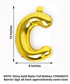 HIER_3211 Party Balloons & Accessories 13