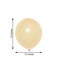 HIER_3220 25 Pack | 12