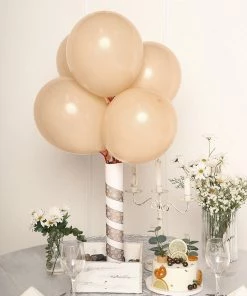 HIER_3220 25 Pack | 12