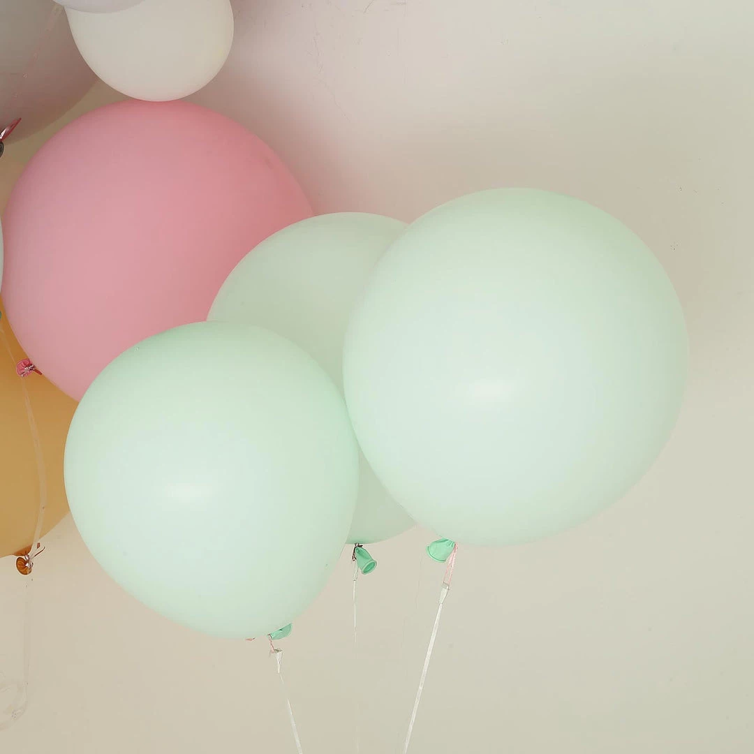 HIER_3220 10 Pack | 18" Matte Pastel Mint Helium Or Air Latex Party Balloons Big Event Backdrops & Décor 12 HIER_3220 10 Pack | 18" Matte Pastel Mint Helium Or Air Latex Party Balloons Big Event Backdrops & Décor