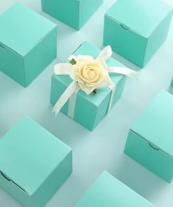 HIER_5310 Chargers & Centerpieces 100 Pack | 3