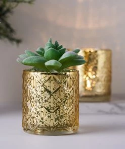 HIER_4320 Chargers & Centerpieces 6 Pack | 3