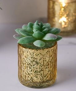 HIER_4320 Chargers & Centerpieces 6 Pack | 3