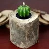 HIER_4320 Chargers & Centerpieces 3" Natural Wood Stump Tealight Votive Candle Holder, Rustic Candle Decor