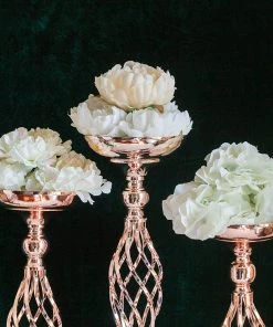 HIER_4310 2 Pack | 23