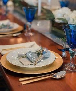 HIER_4700 Disposable Dinnerware 6 Pack | 13