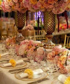 HIER_4700 8 Pack | 12