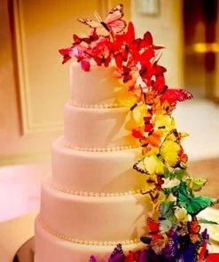 HIER_5150 12 Pack | Double Wing 3D Butterfly Wall Decals, DIY Stickers Decor - Summer Collection 16 HIER_5150 12 Pack | Double Wing 3D Butterfly Wall Decals, DIY Stickers Decor - Summer Collection