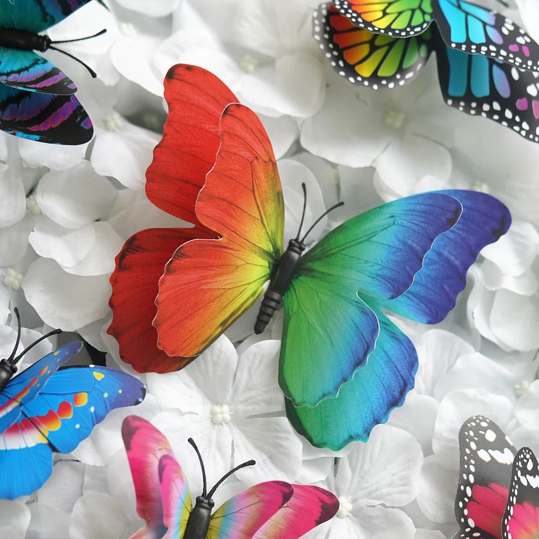 HIER_5150 12 Pack | Double Wing 3D Butterfly Wall Decals, DIY Stickers Decor - Summer Collection 2 HIER_5150 12 Pack | Double Wing 3D Butterfly Wall Decals, DIY Stickers Decor - Summer Collection