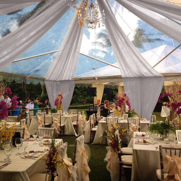 HIER_3110 30ftx10ft Silver Sheer Ceiling Drape Curtain Panels Fire Retardant Fabric 2 HIER_3110 30ftx10ft Silver Sheer Ceiling Drape Curtain Panels Fire Retardant Fabric