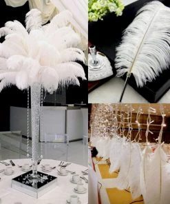 HIER_5170 12 Pack | 13