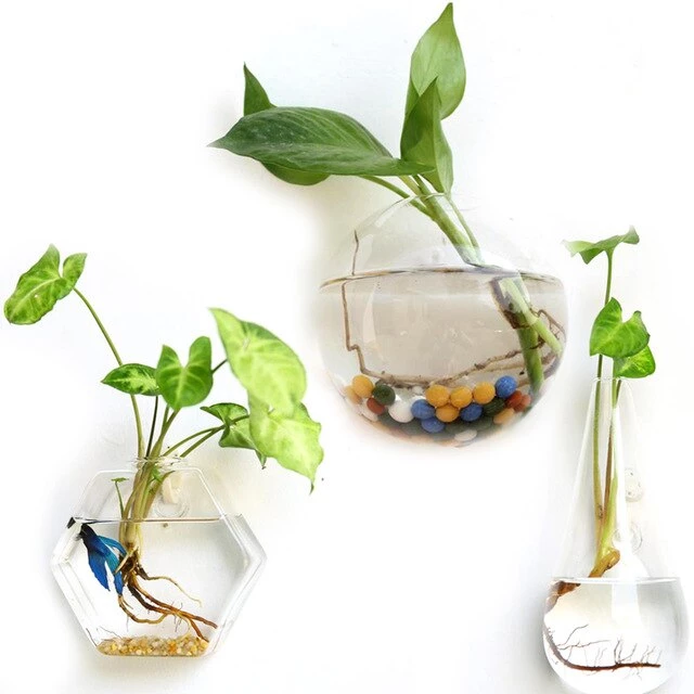 HIER_5200 Chargers & Centerpieces 3 Pack | Egg Shaped Glass Wall Vase | Indoor Wall Mounted Planters | Hanging Terrariums 32 HIER_5200 Chargers & Centerpieces 3 Pack | Egg Shaped Glass Wall Vase | Indoor Wall Mounted Planters | Hanging Terrariums