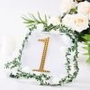 HIER_5150 Chargers & Centerpieces 6" Gold Decorative Rhinestone Number Stickers DIY Crafts - 1