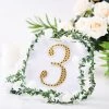 HIER_5150 Chargers & Centerpieces 6" Gold Decorative Rhinestone Number Stickers DIY Crafts - 3