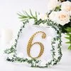 HIER_5150 Chargers & Centerpieces 6" Gold Decorative Rhinestone Number Stickers DIY Crafts - 6