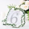 HIER_5150 Chargers & Centerpieces 6" Silver Decorative Rhinestone Number Stickers DIY Crafts - 6