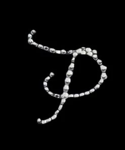 HIER_5150 Tabletop Decor 12 Pack | 1.5" Clear Rhinestone Monogram Letter Jewel Sticker Self Adhesive DIY Diamond Decor - P 17 HIER_5150 Tabletop Decor 12 Pack | 1.5