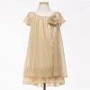 HIER_3500 Flower Girl Dress Two Layered Chiffon Pleated Girls Dress Champagne Party Dress Special Occasion Dress Big Clearance Sale