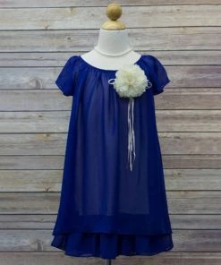 HIER_3500 Big Clearance Sale Flower Girl Dress Two Layered Chiffon Pleated Girls DressRoyal Blue Party Dress Special Occasion Dress