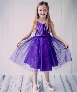 HIER_3500 Big Clearance Sale Flower Girl Dress Pleated Satin Bodice And Silver Sequin Tulle Dress Silver Party Dress Special Occasion Dress