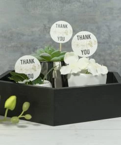 HIER_5410 50 Pack | 5.5