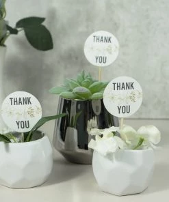 HIER_5410 50 Pack | 5.5