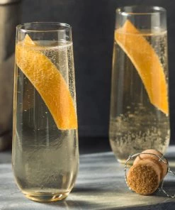 HIER_5430 6 Pack | Clear 9oz Plastic Stemless Champagne Flutes Disposable Glasses For Champagne Disposable Dinnerware