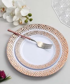 HIER_5441 Disposable Dinnerware 10 Pack | White 7.5