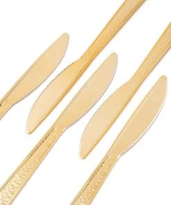 HIER_5460 Disposable Dinnerware 24 Pack - 7