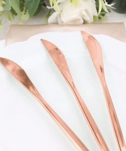 HIER_5460 Disposable Dinnerware 24 Pack | 8