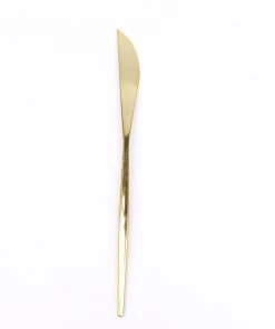 HIER_5460 24 Pack | 8" Glossy Gold Heavy Duty Plastic Silverware Knives Cutlery, Premium Disposable Sleek Flatware Disposable Dinnerware 28 HIER_5460 24 Pack | 8