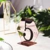 HIER_5170 5 Pack | 5" Blush/Rose Gold Acrylic Wedding Table Sign Holders, Hexagon Number Stands