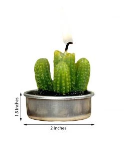 HIER_5340 6 Pcs Aguacolla Cactus Succulent Tea Light Candles Chargers & Centerpieces 11 HIER_5340 6 Pcs Aguacolla Cactus Succulent Tea Light Candles Chargers & Centerpieces