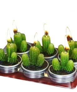 HIER_5340 6 Pcs Aguacolla Cactus Succulent Tea Light Candles Chargers & Centerpieces 16 HIER_5340 6 Pcs Aguacolla Cactus Succulent Tea Light Candles Chargers & Centerpieces