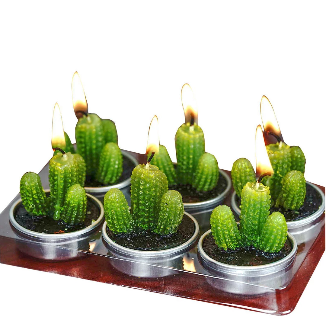 HIER_5340 6 Pcs Aguacolla Cactus Succulent Tea Light Candles Chargers & Centerpieces 8 HIER_5340 6 Pcs Aguacolla Cactus Succulent Tea Light Candles Chargers & Centerpieces