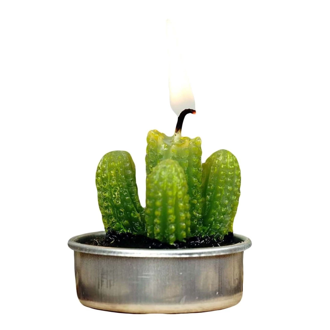 HIER_5340 6 Pcs Aguacolla Cactus Succulent Tea Light Candles Chargers & Centerpieces 9 HIER_5340 6 Pcs Aguacolla Cactus Succulent Tea Light Candles Chargers & Centerpieces