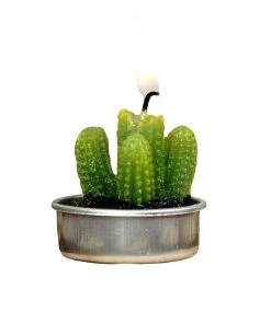 HIER_5340 6 Pcs Aguacolla Cactus Succulent Tea Light Candles Chargers & Centerpieces 15 HIER_5340 6 Pcs Aguacolla Cactus Succulent Tea Light Candles Chargers & Centerpieces