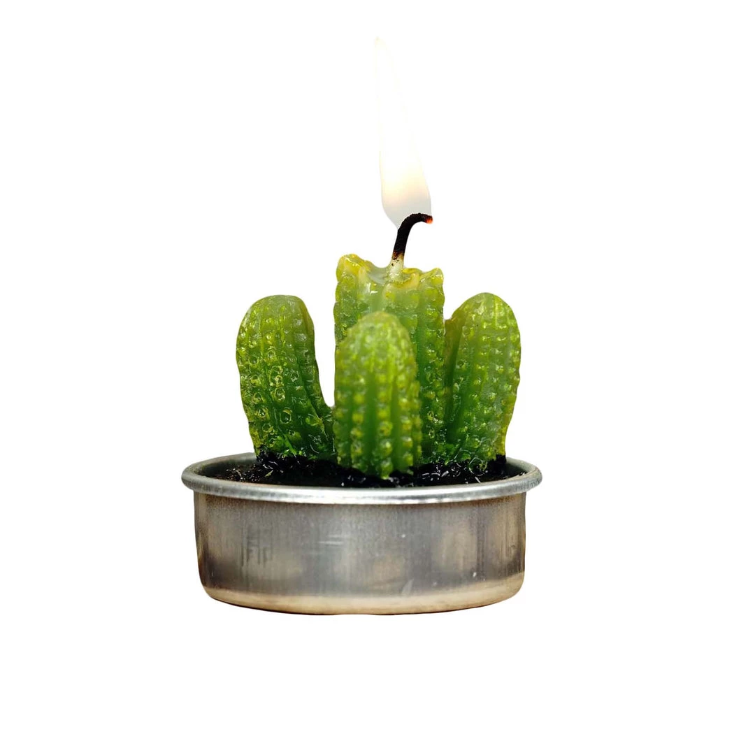 HIER_5340 6 Pcs Aguacolla Cactus Succulent Tea Light Candles Chargers & Centerpieces 7 HIER_5340 6 Pcs Aguacolla Cactus Succulent Tea Light Candles Chargers & Centerpieces