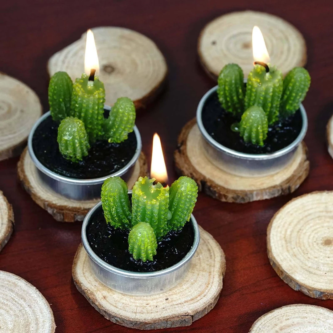 HIER_5340 6 Pcs Aguacolla Cactus Succulent Tea Light Candles Chargers & Centerpieces 2 HIER_5340 6 Pcs Aguacolla Cactus Succulent Tea Light Candles Chargers & Centerpieces