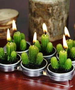 HIER_5340 6 Pcs Aguacolla Cactus Succulent Tea Light Candles Chargers & Centerpieces 14 HIER_5340 6 Pcs Aguacolla Cactus Succulent Tea Light Candles Chargers & Centerpieces