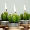 HIER_5340 6 Pcs Aguacolla Cactus Succulent Tea Light Candles Chargers & Centerpieces