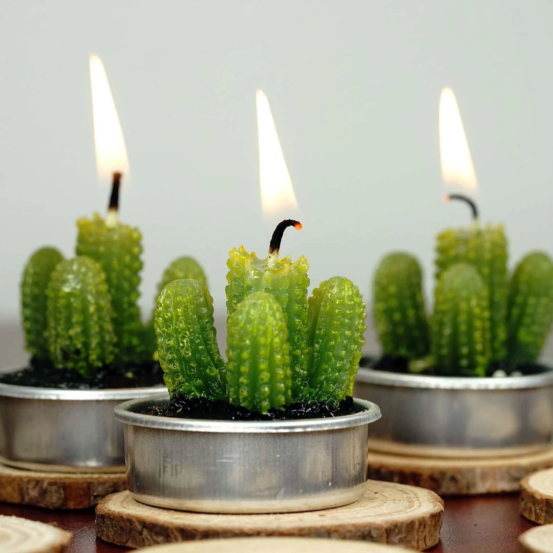 HIER_5340 6 Pcs Aguacolla Cactus Succulent Tea Light Candles Chargers & Centerpieces 1 HIER_5340 6 Pcs Aguacolla Cactus Succulent Tea Light Candles Chargers & Centerpieces