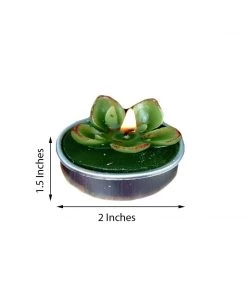 HIER_5340 6 Pcs Echeveria Succulent Tea Light Candles 9 HIER_5340 6 Pcs Echeveria Succulent Tea Light Candles