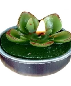 HIER_5340 6 Pcs Echeveria Succulent Tea Light Candles 13 HIER_5340 6 Pcs Echeveria Succulent Tea Light Candles