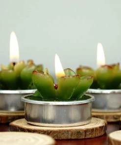 HIER_5340 6 Pcs Echeveria Succulent Tea Light Candles