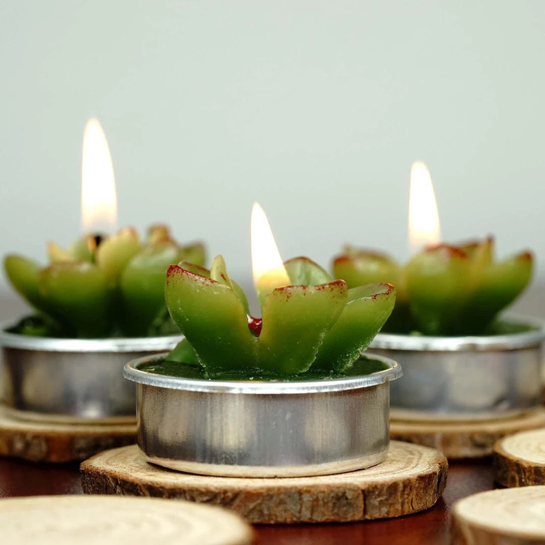 HIER_5340 6 Pcs Echeveria Succulent Tea Light Candles 1 HIER_5340 6 Pcs Echeveria Succulent Tea Light Candles