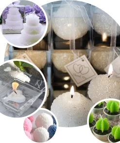 HIER_5340 6 Pcs Aguacolla Cactus Succulent Tea Light Candles Chargers & Centerpieces 13 HIER_5340 6 Pcs Aguacolla Cactus Succulent Tea Light Candles Chargers & Centerpieces