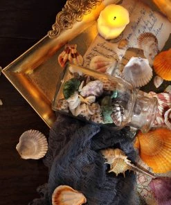 HIER_4830 Tabletop Decor 150g Mixed Natural Seashell Decor | Beach Shells Vase Fillers 22 HIER_4830 Tabletop Decor 150g Mixed Natural Seashell Decor | Beach Shells Vase Fillers
