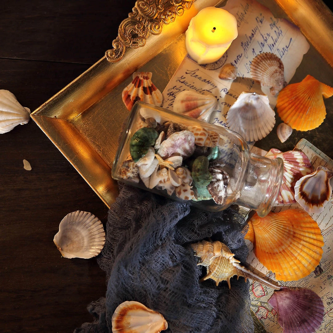 HIER_4830 Tabletop Decor 150g Mixed Natural Seashell Decor | Beach Shells Vase Fillers 8 HIER_4830 Tabletop Decor 150g Mixed Natural Seashell Decor | Beach Shells Vase Fillers