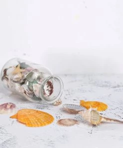 HIER_4830 Tabletop Decor 150g Mixed Natural Seashell Decor | Beach Shells Vase Fillers 23 HIER_4830 Tabletop Decor 150g Mixed Natural Seashell Decor | Beach Shells Vase Fillers